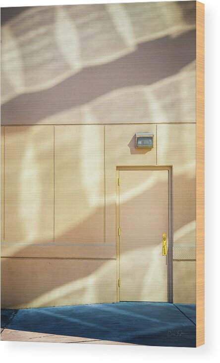 Doors Wood Print featuring the photograph Door Light by Craig J Satterlee