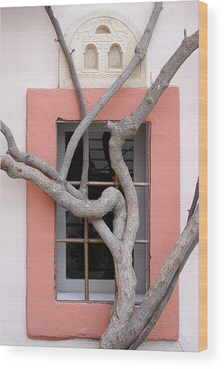 Barred Window Wood Print featuring the photograph Double-Barred by James Covello