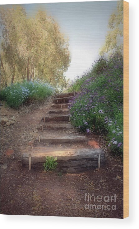 Garden Wood Print featuring the photograph Dream Steps by Elaine Teague