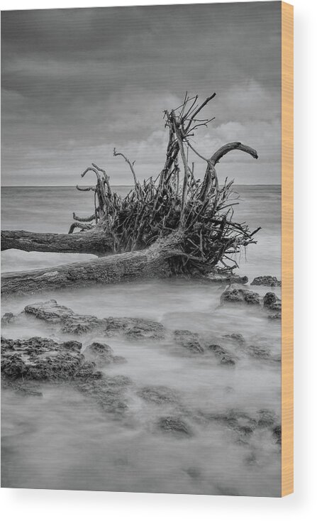 Black Wood Print featuring the photograph Driftwood Beach in Black and White by Carolyn Hutchins