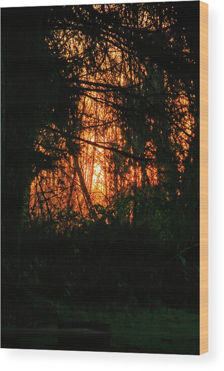 Sunset Wood Print featuring the photograph Dry Brush Campsite Sunset by Tikvah's Hope