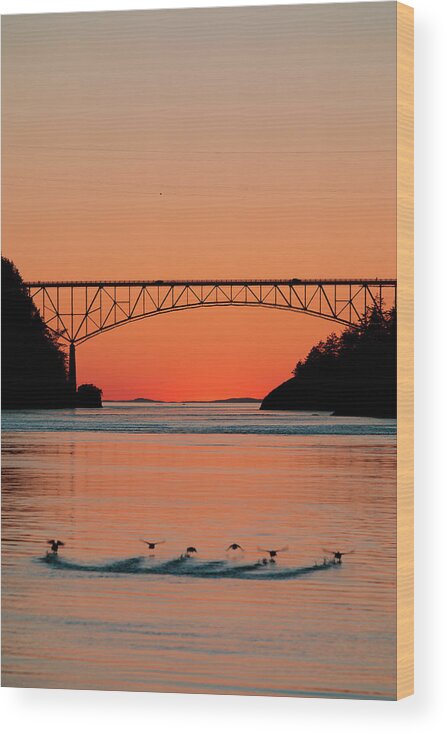 Deception Pass Wood Print featuring the photograph Ducks Under the Bridge by Michael Rauwolf