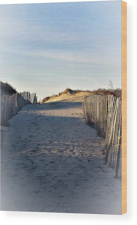 Dunes Wood Print featuring the photograph Dunes, Sand, and Beach Fences by Nancy De Flon