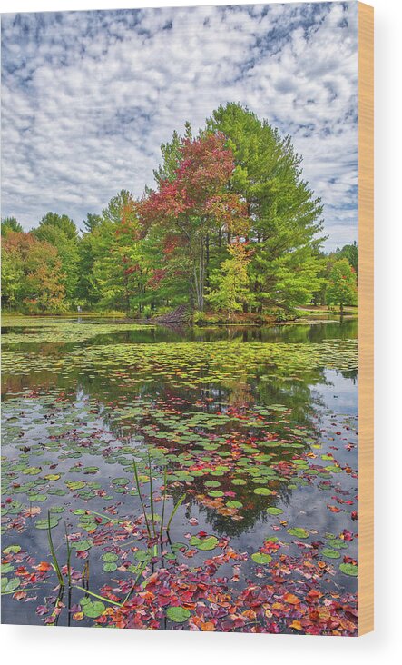 East Branch Ware River Wood Print featuring the photograph East Branch Ware River in Rutland Massachusetts by Juergen Roth