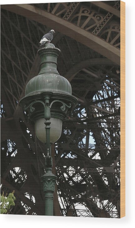 Paris Wood Print featuring the photograph Eiffel Tower Lamp Post by Ron Berezuk