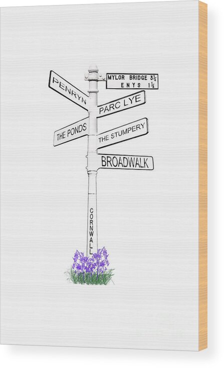 Enys Wood Print featuring the photograph Enys Gardens Signpost by Terri Waters