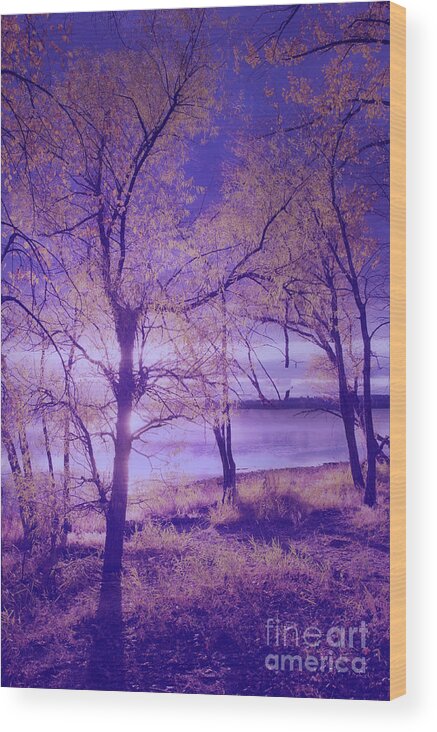 Lake Champlain Wood Print featuring the photograph Evening Approaches by George Robinson