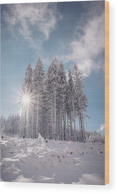 Highlands Wood Print featuring the photograph Fairy-tale wilderness covered in snow by Vaclav Sonnek