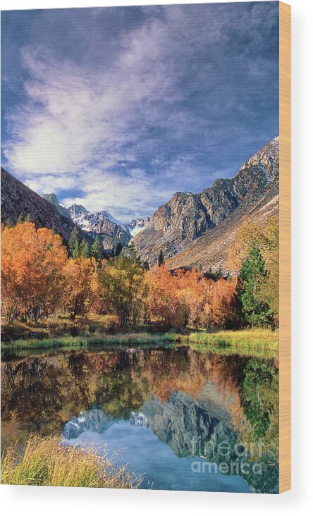 Dave Welling Wood Print featuring the photograph Fall Color Middle Palisades Glacier Eastern Sierras Californ by Dave Welling