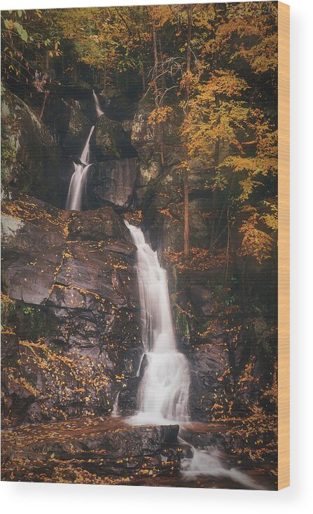 Fall Wood Print featuring the photograph Fall Leaves on Buttermilk Falls by Jason Fink