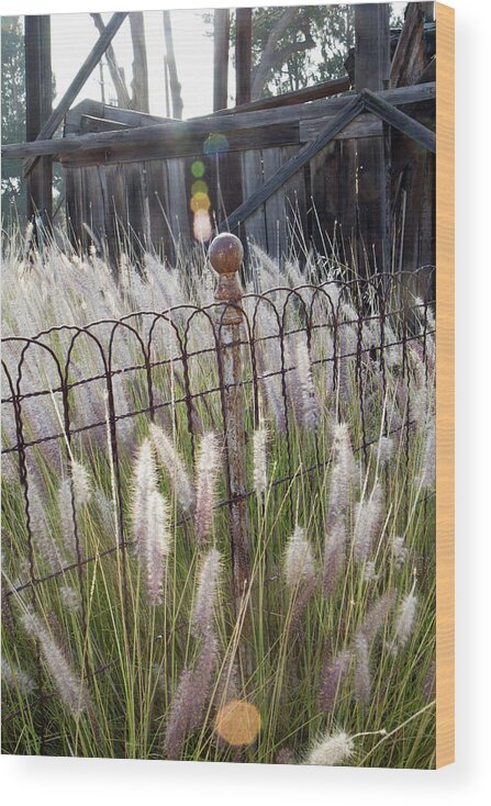 Antique Wood Print featuring the photograph Fence Post by Gina Cinardo