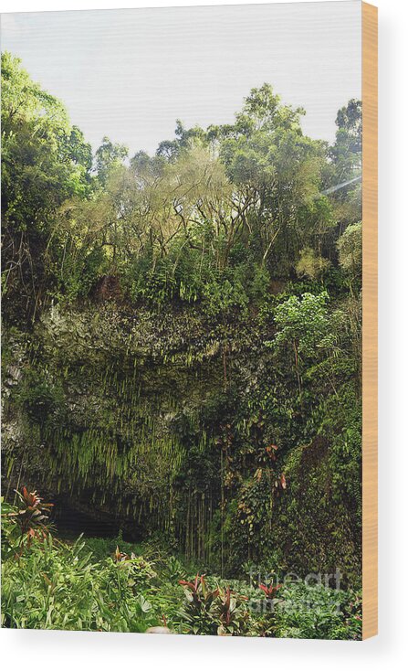 Fern Grotto Wood Print featuring the photograph Fern Grotto by Cindy Murphy