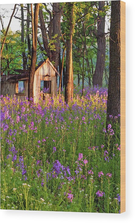 Wildflowers Wood Print featuring the photograph Field of Forgotten Dreams by Jill Love