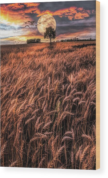 Barn Wood Print featuring the photograph Fields in Early Evening II Painting by Debra and Dave Vanderlaan