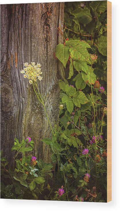 Flowers Wood Print featuring the photograph Flora and Wood by Steve Kelley