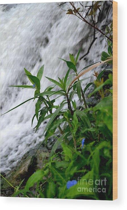 Waterfall Photography Wood Print featuring the photograph Flowers by the Waterfall by Expressions By Stephanie