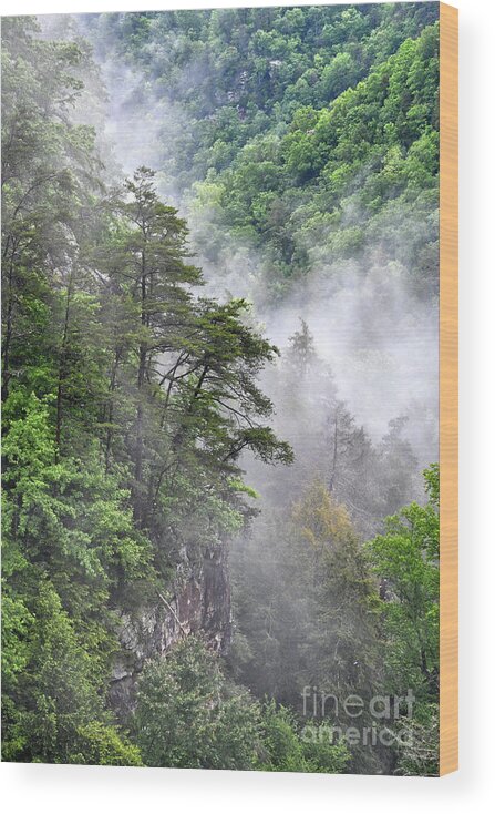 Fall Creek Falls Wood Print featuring the photograph Fog In Valley 2 by Phil Perkins