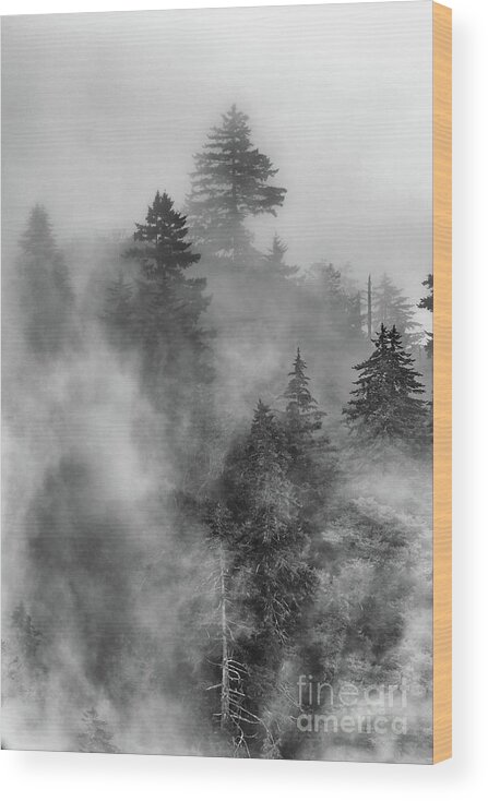 Woods Wood Print featuring the photograph Fog's Rolling by Nicki McManus