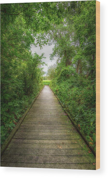 Path Wood Print featuring the photograph Follow Your Path by Brad Bellisle