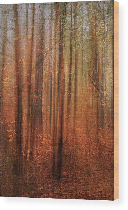 Photography Wood Print featuring the digital art Forest Dream by Terry Davis