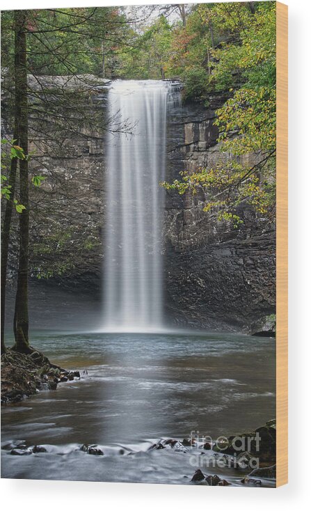 Foster Falls Wood Print featuring the photograph Foster Falls 13 by Phil Perkins