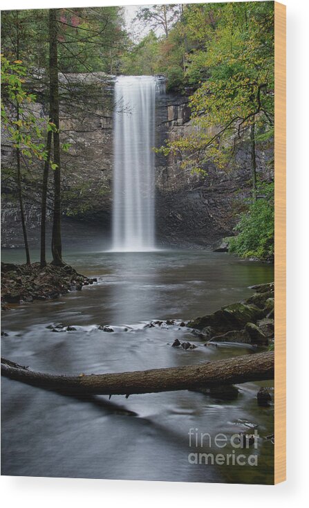 Foster Falls Wood Print featuring the photograph Foster Falls 9 by Phil Perkins