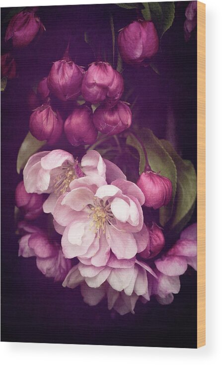 Flowers Wood Print featuring the photograph Glory to the Flowers by Philippe Sainte-Laudy