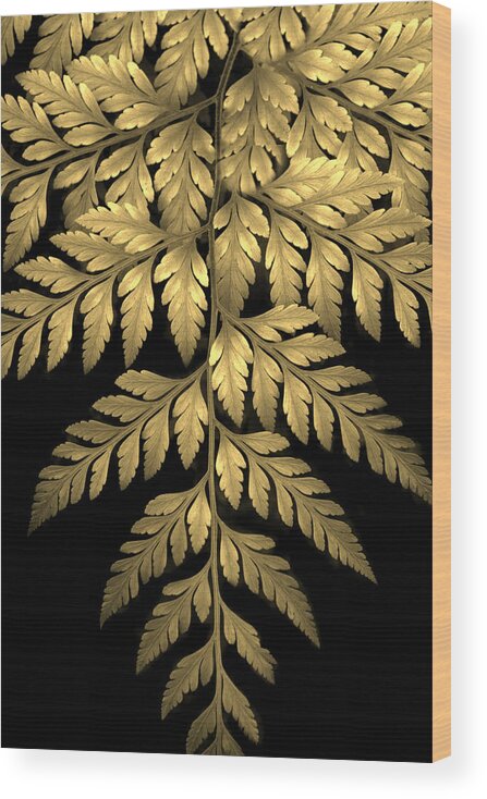 Fern Wood Print featuring the photograph Gold Leaf Fern by Jessica Jenney