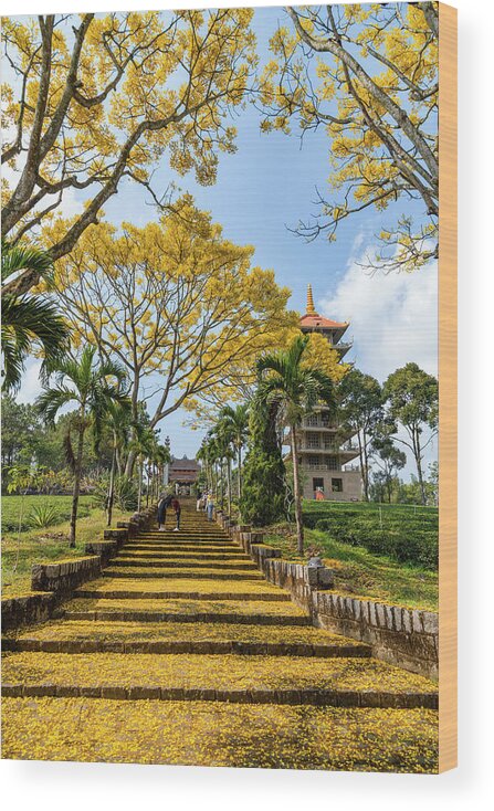 Awesome Wood Print featuring the photograph Gold pagoda #5 by Khanh Bui Phu