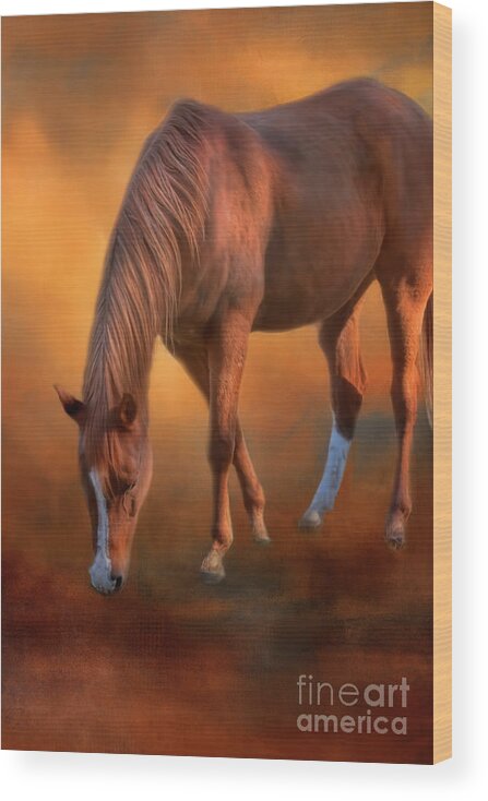 Horse Wood Print featuring the photograph Golden Boy by Joan Bertucci