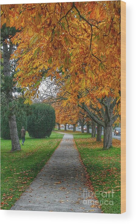 Trees Wood Print featuring the photograph Golden Canopy by Kimberly Furey