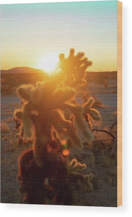 California Wood Print featuring the photograph Golden Cholla 2 by Go and Flow Photos