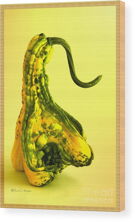 Gourd Wood Print featuring the mixed media Gourd Art #1 by Kae Cheatham