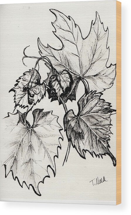 Black And White Wood Print featuring the drawing Grape Leaves in Ink by Tammy Nara