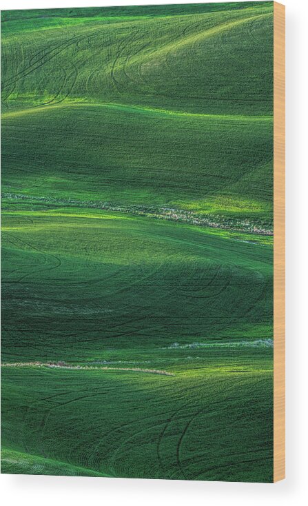 Green Wood Print featuring the photograph Green Hills by Pamela Dunn-Parrish