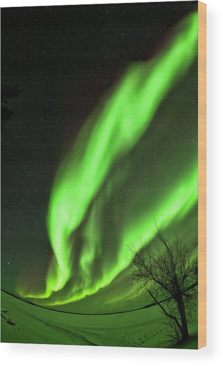 Blachford Lake Lodge Wood Print featuring the photograph Green Tornado by Phil Marty