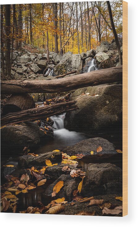 Fall Colors Wood Print featuring the photograph Hacklebarney Falls by Kevin Plant