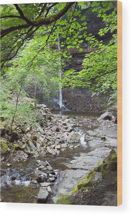 Scenics Wood Print featuring the photograph Hardrew Force waterfall by Heidi Coppock-Beard