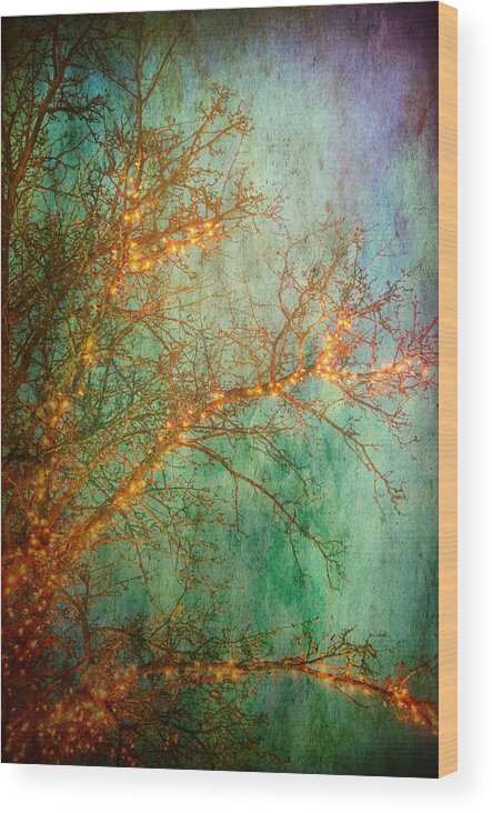 Lights Wood Print featuring the photograph Hazy Lights by Abbie Loyd Kern