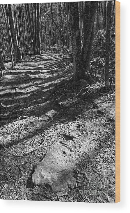 Hen Wallow Falls Wood Print featuring the photograph Hen Wallow Falls 16 by Phil Perkins