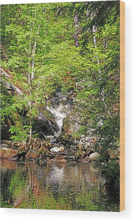 Moon River Wood Print featuring the photograph Hidden Falls In The Forest by Debbie Oppermann