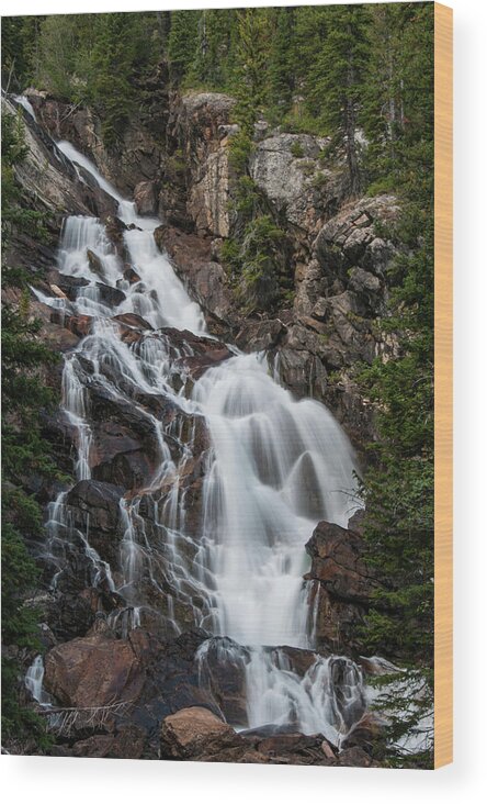 Grand Teton National Park Wood Print featuring the photograph Hidden Falls by Melissa Southern