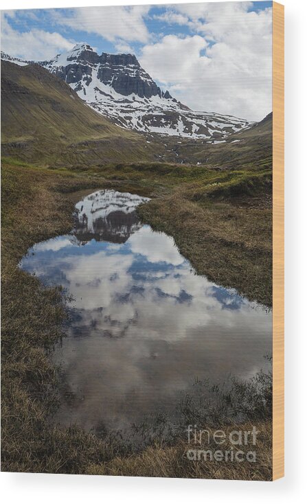 Reflections Wood Print featuring the photograph Hiking in the Eastfjords,Iceland by Eva Lechner