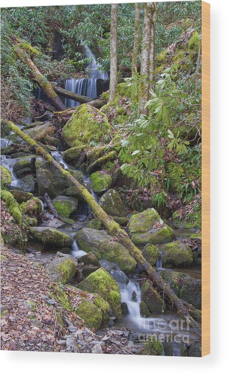 Hillside Wood Print featuring the photograph Hillside Waterfall by Phil Perkins