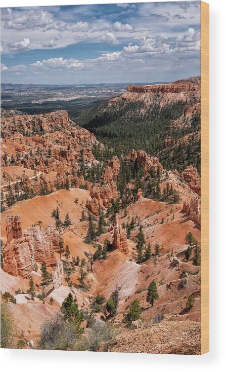 Bryce Wood Print featuring the photograph Hoodoo Heaven II by Phil Marty