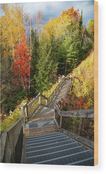Au Sable River Wood Print featuring the photograph Huron Manistee National Forest in Michigan with fall colors by Eldon McGraw