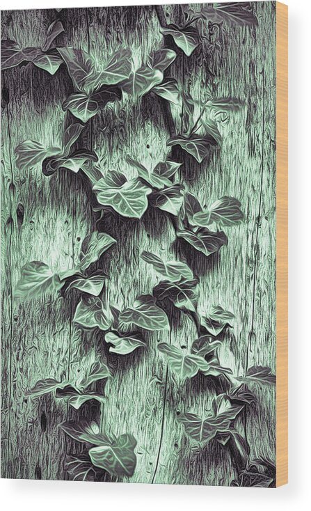 Tree Trunk Wood Print featuring the photograph Ivy Pattern On The Tree Trunk by Gary Slawsky