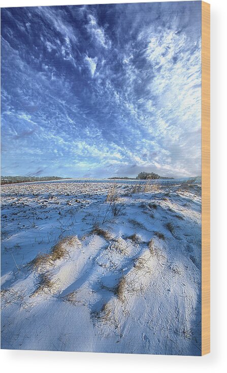 Fineart Wood Print featuring the photograph January Blues by Phil Koch