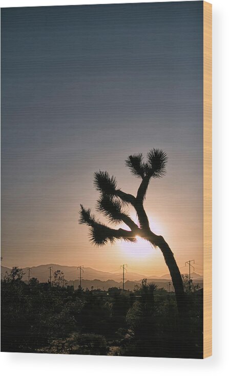 Desert Wood Print featuring the photograph Joshua Tree Silhouette by Lisa Chorny