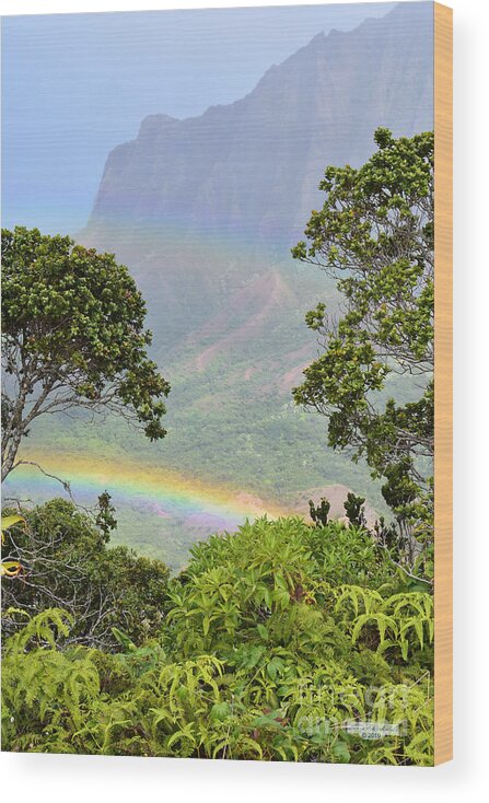 Gary Wood Print featuring the photograph Kalalau Lookout Rainbow by Gary F Richards